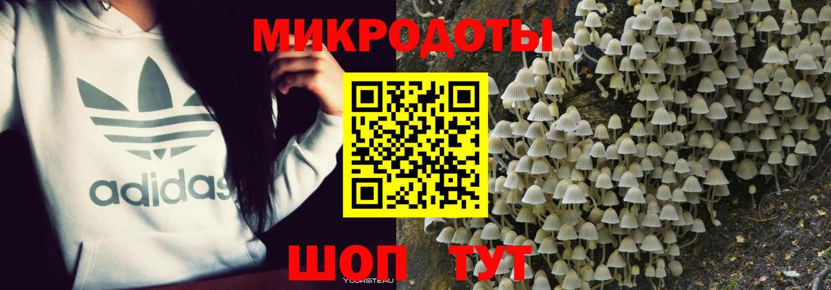 Псилоцибиновые грибы MAGIC MUSHROOMS Минусинск